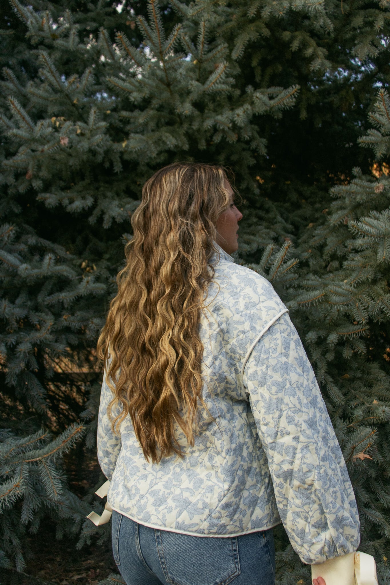 Sadie Quilted Jacket