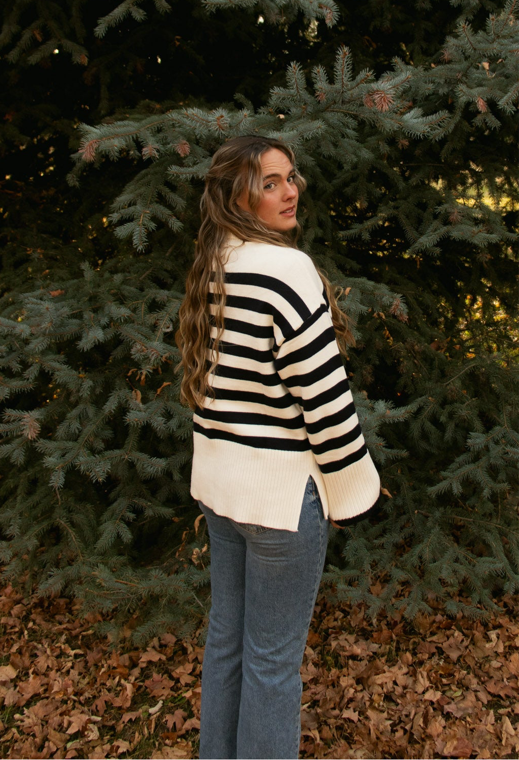 Brooke Striped Turtleneck