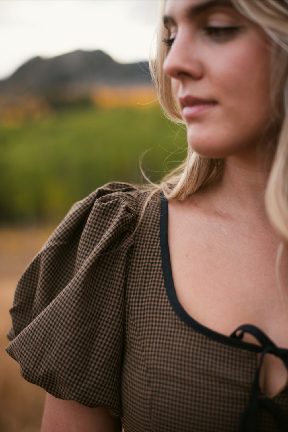 Ivy Gingham Dress