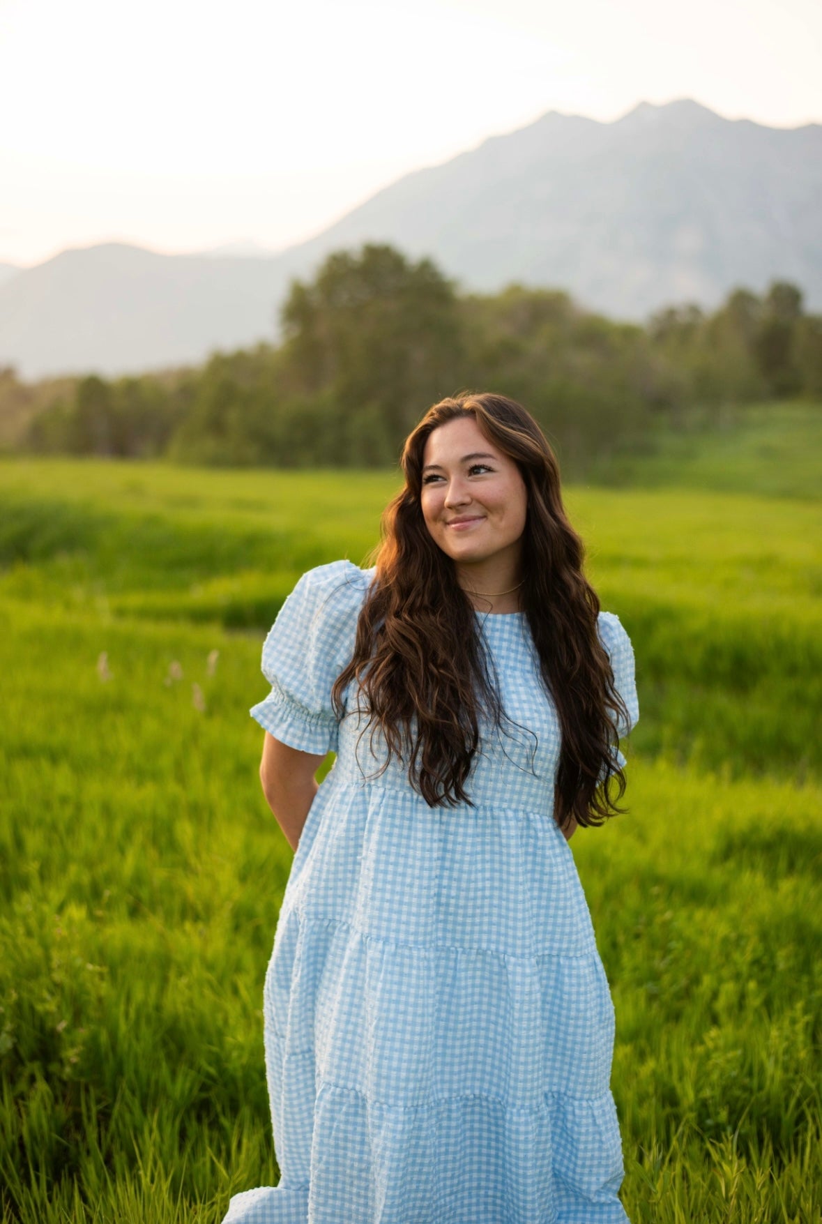 Prescott Gingham Dress