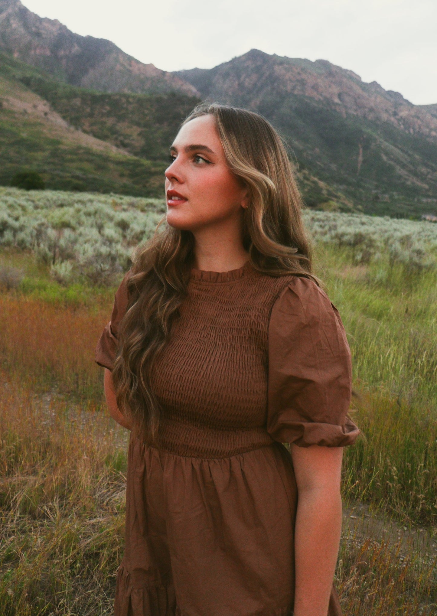 Amber Puff Sleeve Dress