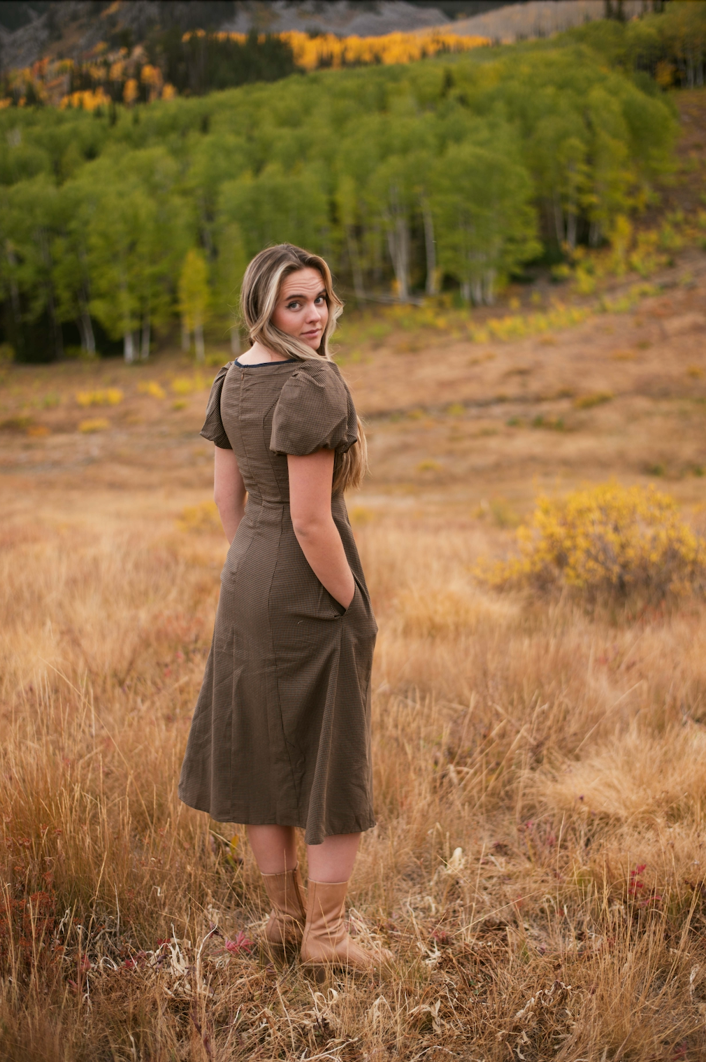 Ivy Gingham Dress
